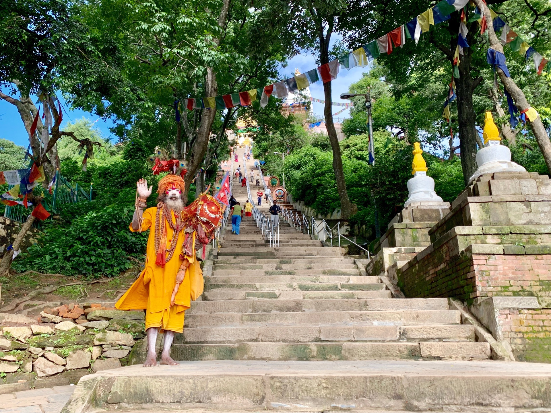 ヒマラヤ遊覧飛行失敗し、猿も寺に登る。