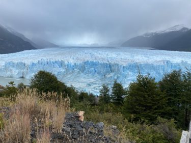 世界最大級の氷河ペリト・モレノを観光【世界遺産】